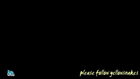 .     y e l l o w s n a k e s       . online show from 05.12.26