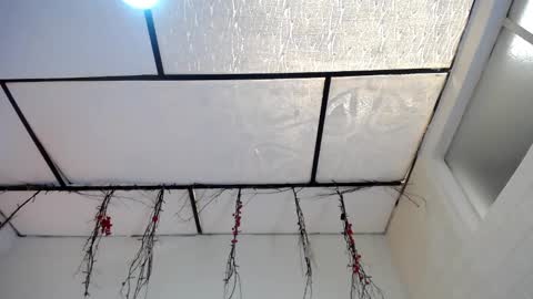 YEM online show from 03.16.26