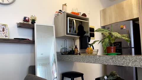 Snapshot of yes_mommy_zlata chatting on 02.02.25 Zlata online show from 02.02.25