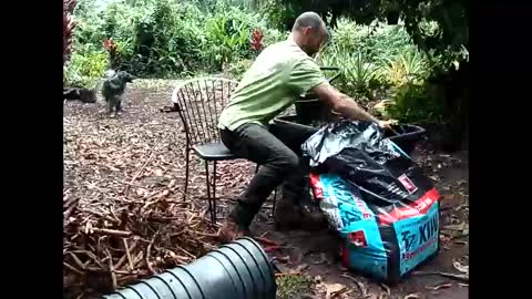 youllfall4me online show from 11.17.25