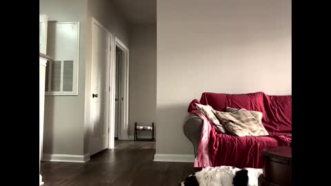 Snapshot of youneverknowimight2 chatting on 10.14.25 kindahorny online show from 10.14.25