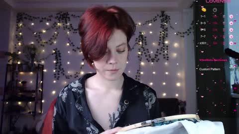 Snapshot of your_corvus chatting on 12.02.24 your_corvus online show from 12.02.24