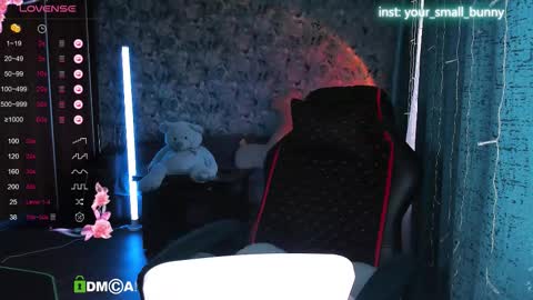 Snapshot of your_small_bunny chatting on 09.16.25 Molly online show from 09.16.25