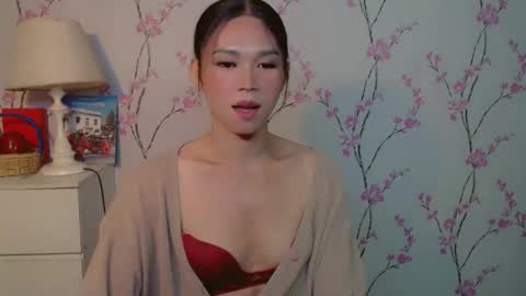 Snapshot of yourdreamgirljane chatting on 10.17.25 JANE online show from 10.17.25