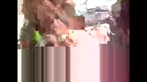 Kaitie Cummings online show from 02.23.26