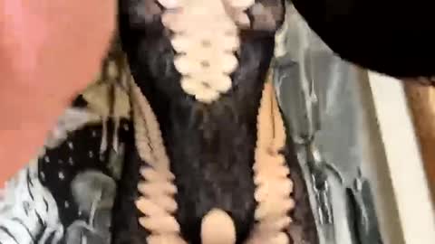 YourPrettyLittleCumSlut online show from 02.22.25