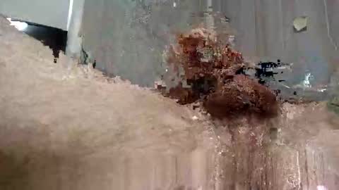 Snapshot of yourwishismypleasure1 chatting on 11.17.25 yourwishismypleasure1 online show from 11.17.25