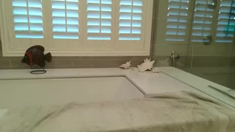 yttims online show from 02.01.26