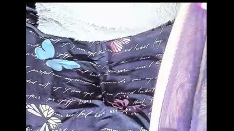 Snapshot of yukiodavis chatting on 10.10.25 Yukio Davis  online show from 10.10.25