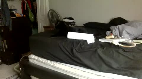 yung mayimbe online show from 03.27.26