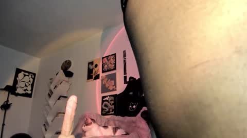 paola online show from 01.15.26