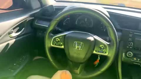 zadddy209 online show from 12.20.24