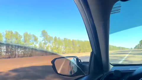 zadddy209 online show from 01.20.25