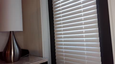 Edii online show from 01.02.25