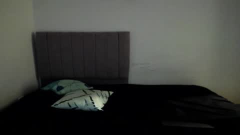 Snapshot of zanxley_ chatting on 01.05.25 zanxley_ online show from 01.05.25