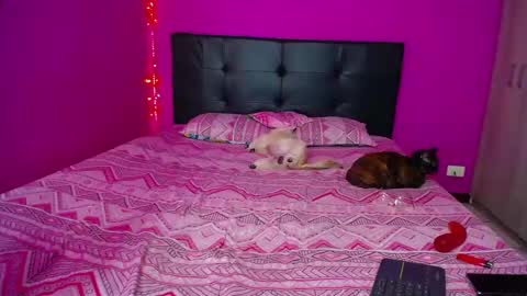 Snapshot of zara_tattoox chatting on 12.14.24 ZARA ANYELINA online show from 12.14.24