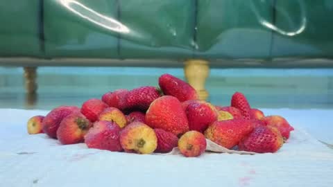 Isabella online show from 03.31.26