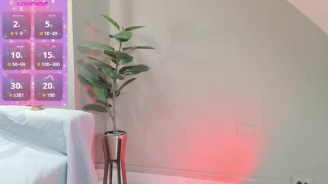 Zary online show from 11.26.25