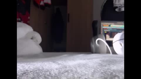 zbokk319121659104 online show from 11.24.25