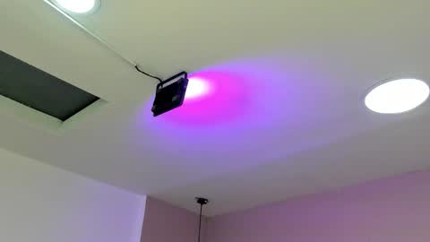 zia online show from 09.20.25