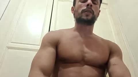 zigfrid666 online show from 02.15.26