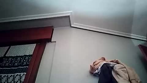 zigor13 online show from 03.24.26