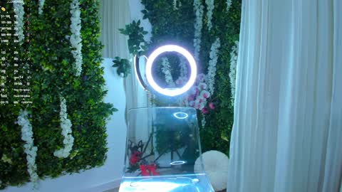 Galli online show from 12.11.24