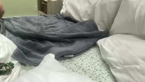 zinneaviolette online show from 01.14.26