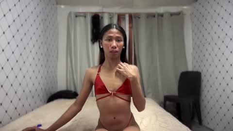 Zinnia nics online show from 11.08.25