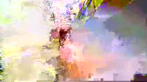 zippy001 online show from 12.06.24