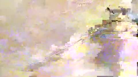 zippy001 online show from 12.07.24