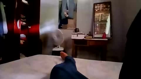 zitojose73 online show from 11.04.25