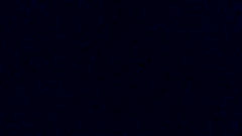 zizo99199 online show from 03.08.26