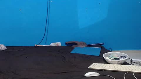 Zoe online show from 04.05.26