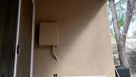 Snapshot of zoeoved92 chatting on 10.08.25 zoeoved92 online show from 10.08.25