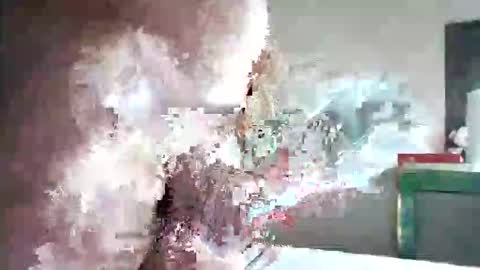 zogum online show from 11.01.25