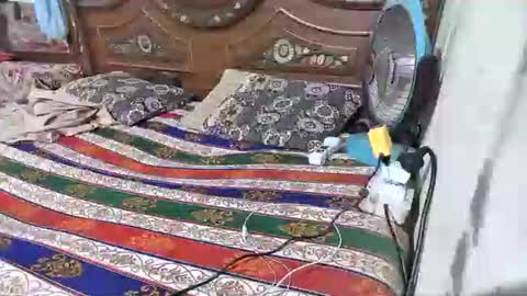 zoyakhan803 online show from 02.12.26