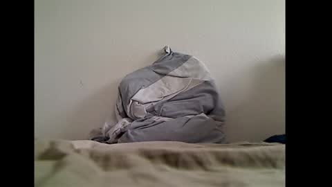 zwweener online show from 01.14.26