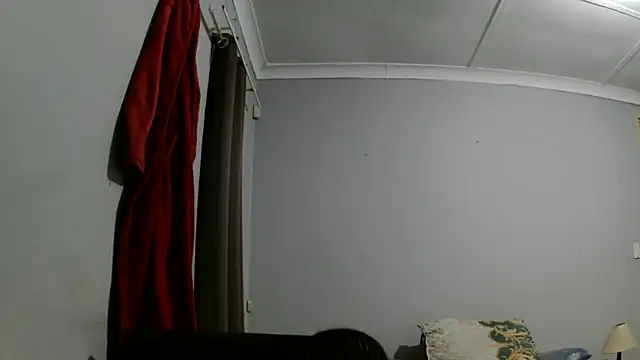 COOKIECANDY online show from 02.10.26