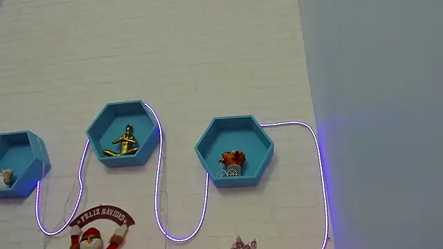 veronica salas online show from 12.18.24