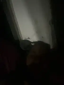 punhetaba online show from 02.24.26