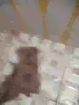 Sanjaymartin29 online show from 01.16.25