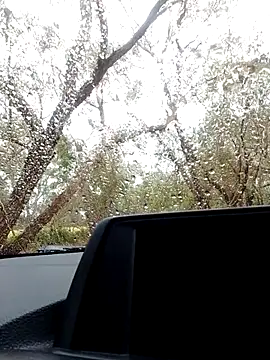 stiffandlubedxh online show from 10.21.25