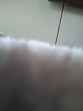 biboii online show from 02.08.25