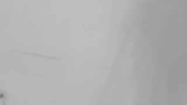 StefanyMiler online show from 12.30.24