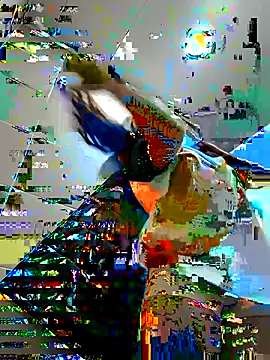 Sam Sara online show from 02.16.25