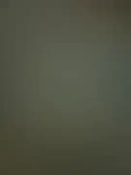 Sam Sara online show from 02.19.26