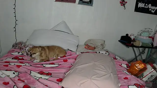 Cupcakecutie449 online show from 02.28.26