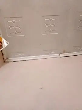 pretty-donna online show from 10.21.25