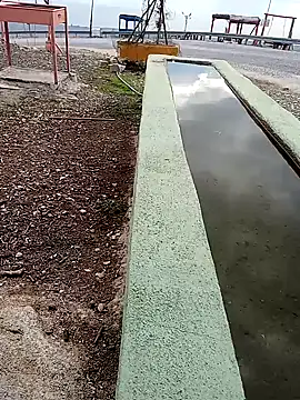 parabellumm online show from 10.03.25